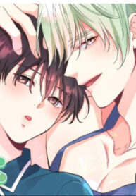 Cover 86870