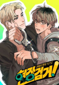 Cover 86882