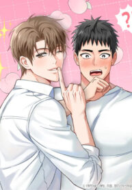 Cover 86888