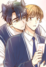 Cover 86890