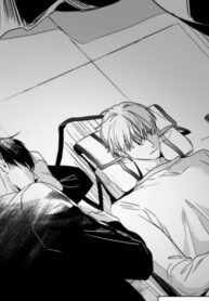 Cover 86902