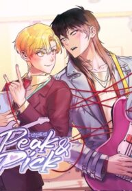 Cover 86964