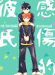 Cover 87050