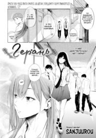 Cover 87139