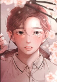 Cover 87205
