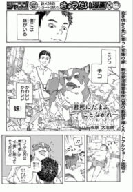 Cover 87213