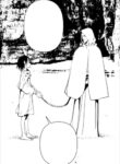 Cover 87217