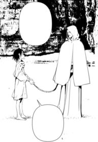 Cover 87217