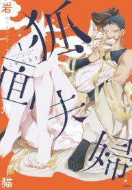 Cover 87255
