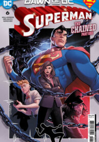Cover 87333