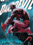 Cover 87341
