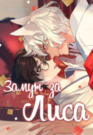 Cover 87411