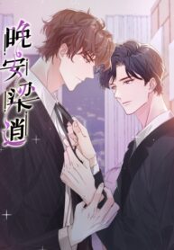 Cover 87415