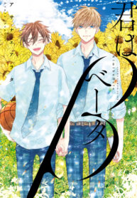 Cover 87433