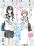 Cover 87435