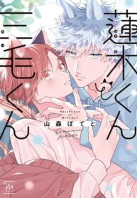 Cover 87455
