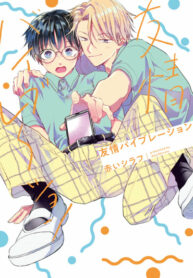 Cover 87473