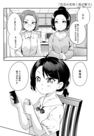 Cover 87481