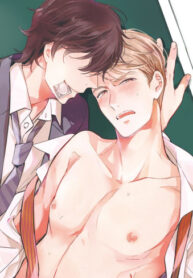 Cover 87503