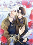Cover 87517