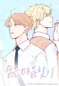 Cover 87537
