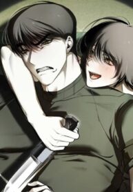 Cover 87539