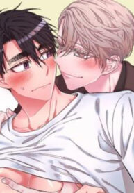 Cover 87543