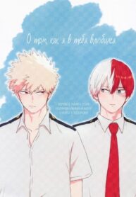 Cover 87545