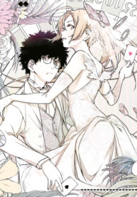 Cover 87581