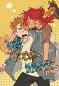 Cover 87597