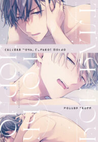 Cover 87697
