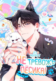 Cover 87705