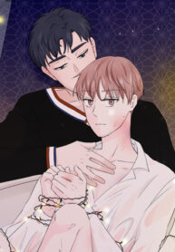 Cover 87721