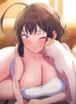 Cover 87763