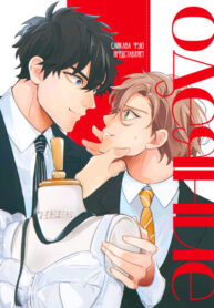 Cover 87777