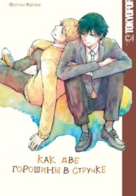 Cover 87876
