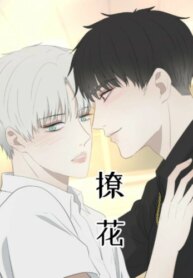 Cover 87926