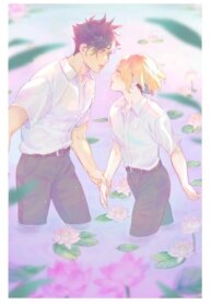 Cover 87936