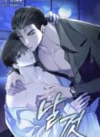 Cover 88025