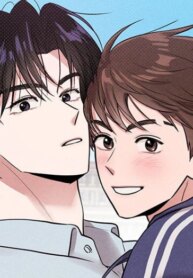 Cover 88035