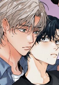 Cover 88039