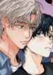 Cover 88039