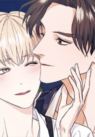 Cover 88059