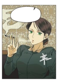 Cover 88061