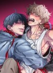 Cover 88087