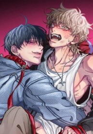 Cover 88087