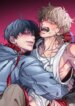 Cover 88087