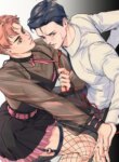 Cover 88095