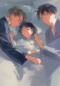 Cover 88115