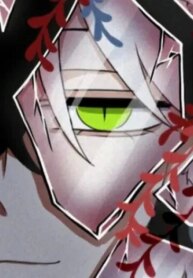 Cover 88121
